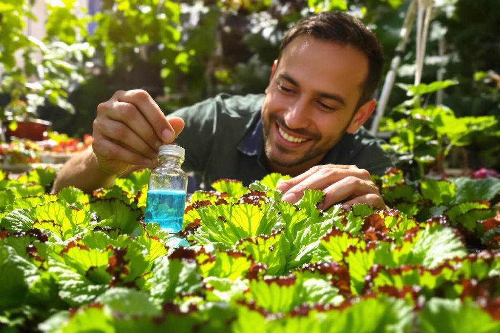 Engrais hydroponique maison : votre guide pratique et facile